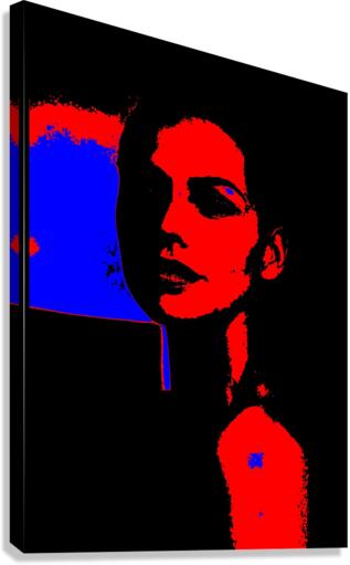 shadows 3 Canvas Print
