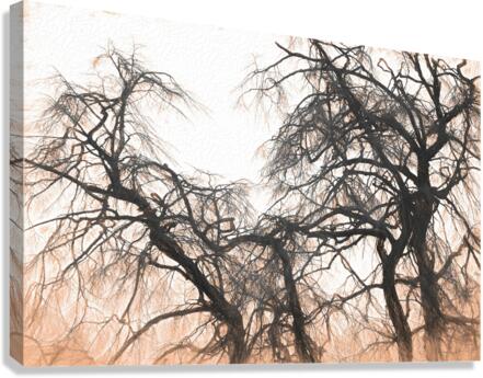 winter tree no 2 Canvas Print