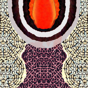 Desert Sun upon the Sand Dunes