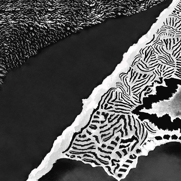 Eurasia and the Black Sea Print