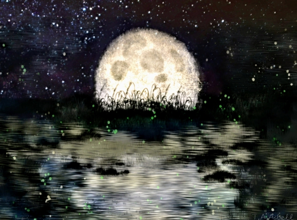 Moonlight by T.A.Asbell by Halidom