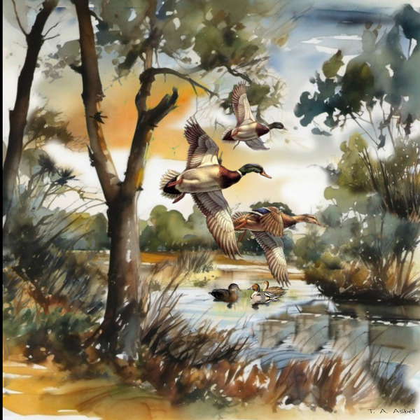 Ducks by T. A. Asbell   by Halidom