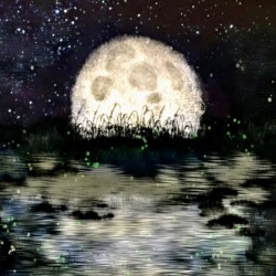 Moonlight by T.A.Asbell