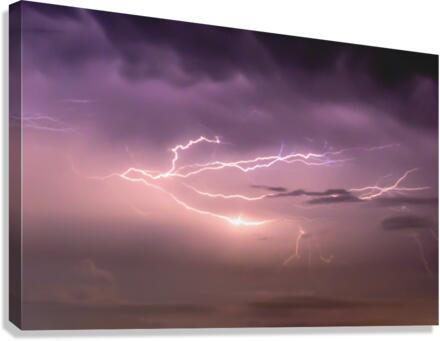 Avian Lightning Canvas Print