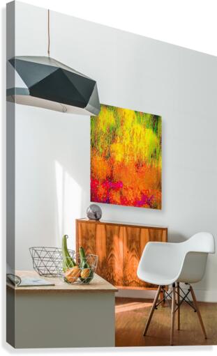 Sample Abstract on Wall Canvas Print