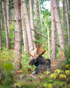 lookintomysoul8x10NEEDSTP