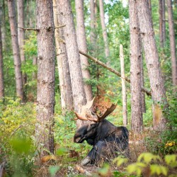 lookintomysoul8x10NEEDSTP