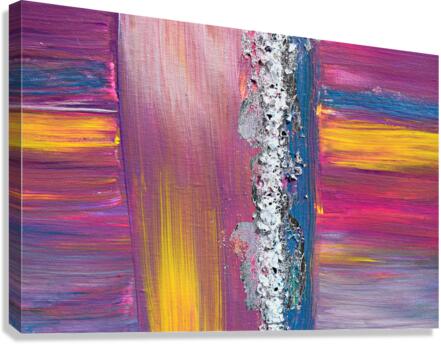 Hummingbird  Canvas Print