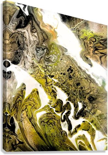 Camouflage Canvas Print