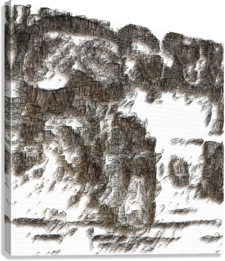 Carbon Canvas Print