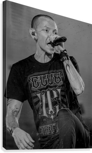 Chester 1 Canvas Print