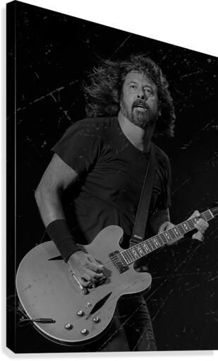 Dave Grohl Canvas Print