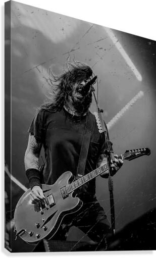 Dave Grohl Canvas Print