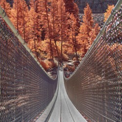 Swinging Bridge