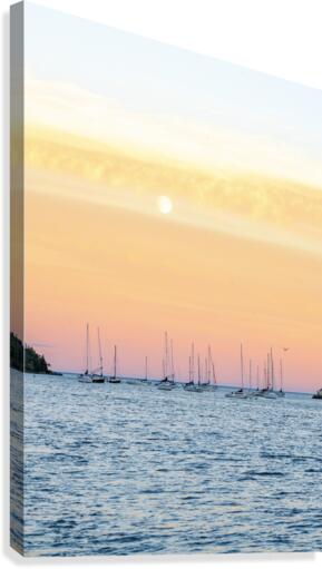 JFSailing13 Canvas Print