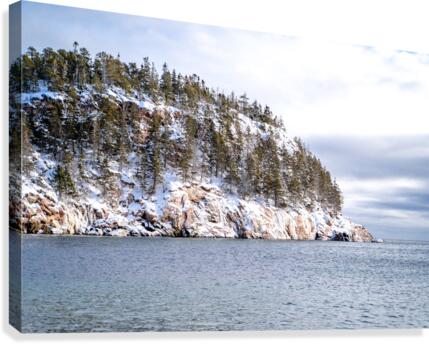 Black Brook  19  Canvas Print