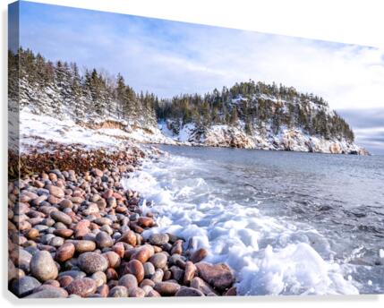 Black Brook  14  Canvas Print