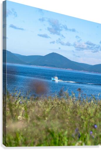 white point 2 Canvas Print