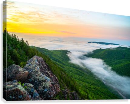 Franey Canvas Print
