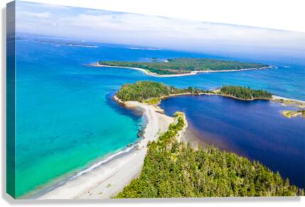 Taylor Head 13 Canvas Print
