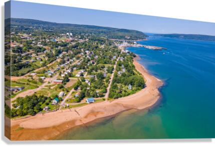 Digby 2 Canvas Print