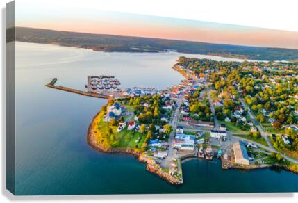 Digby 1 Canvas Print