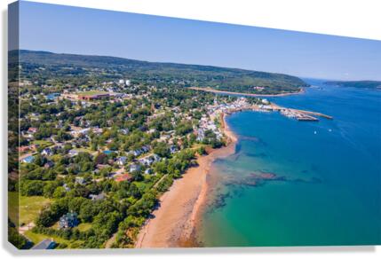 Digby 5 Canvas Print