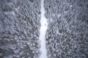 Apres la tempete 4