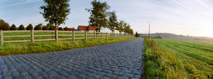 paving sett road  in autumnal sunlight