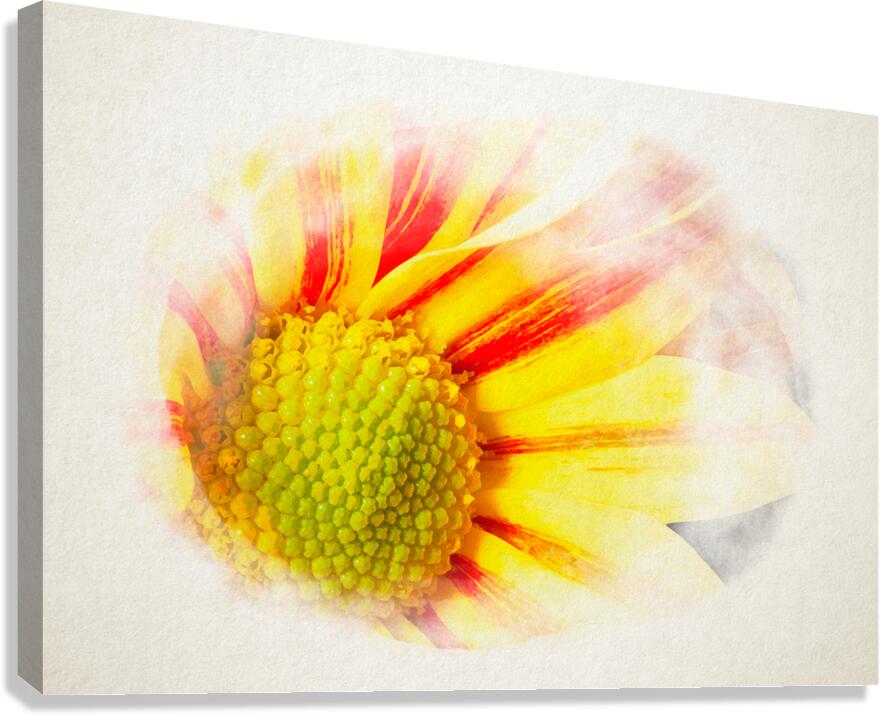 Big Kiss White Flame in watercolor Canvas Print