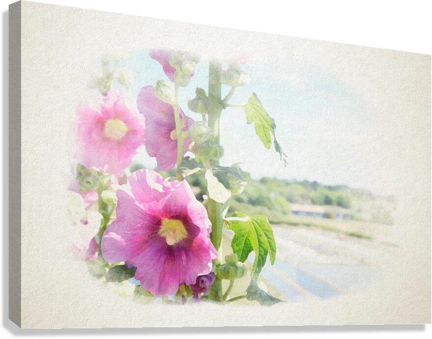 hollyhock with saltminning in watercolor Canvas Print