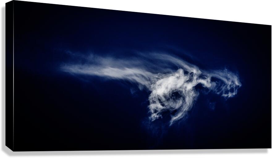 004 Somatic Canvas Print