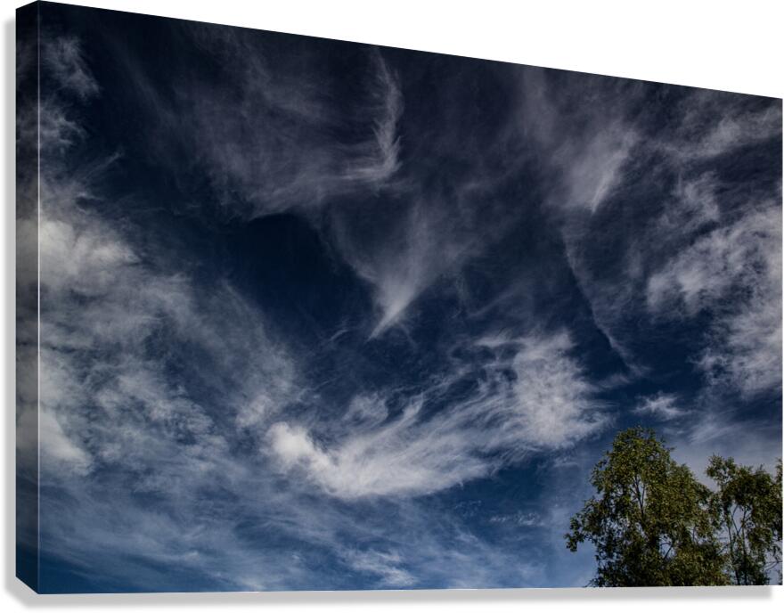 024 Trailblaser Vision Canvas Print