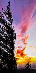 Divergent Clouds