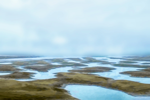 Low Tide 