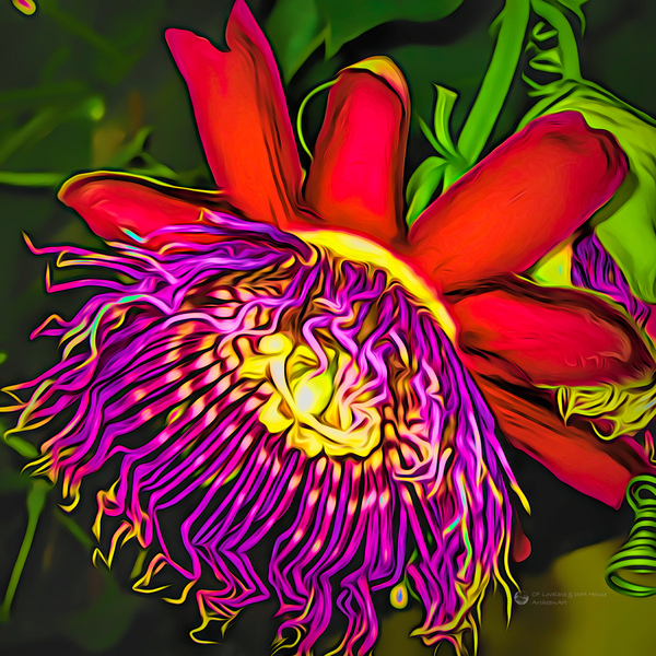 Electric Blossom Print