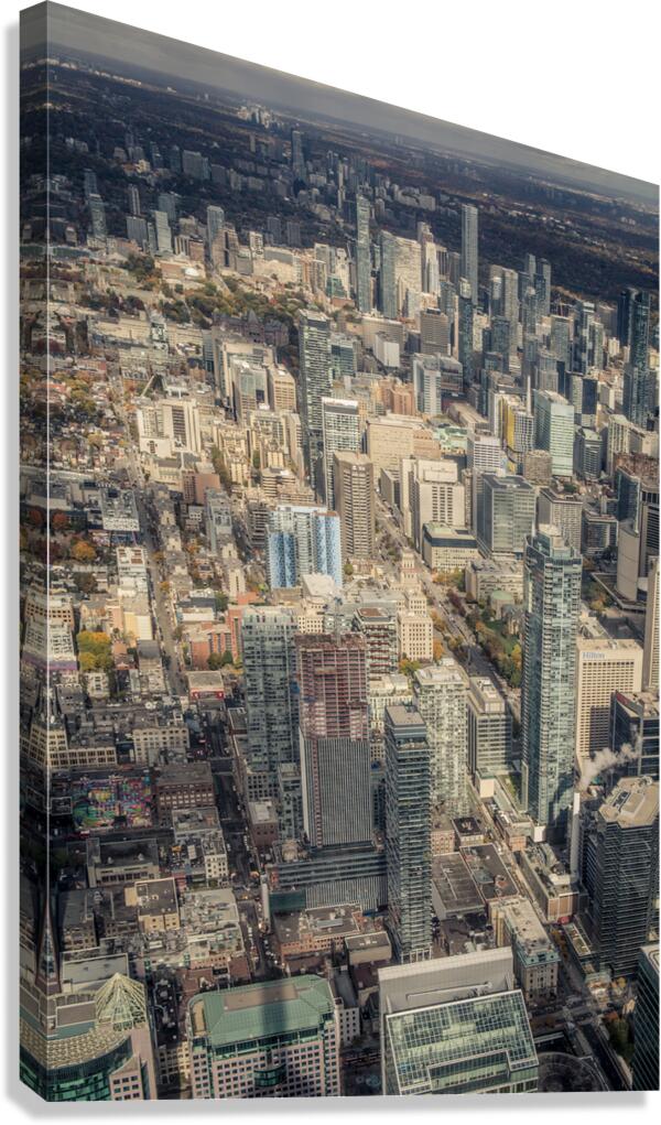 City View Canvas Print