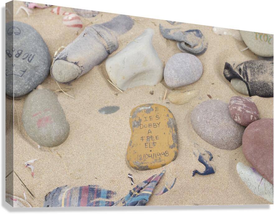 Dobby Harry potter stones left at grave Canvas Print