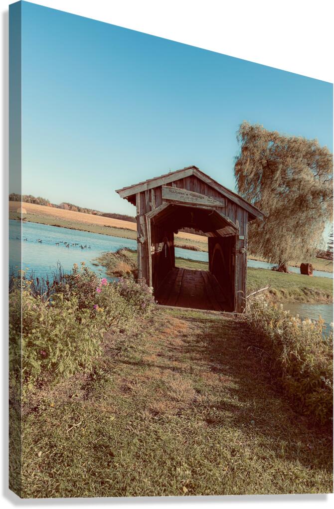 Journey Canvas Print