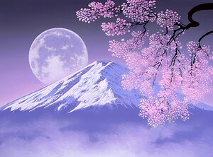 Spring Sakura in Japan
