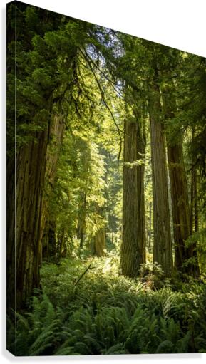 Natures Architecture Canvas Print