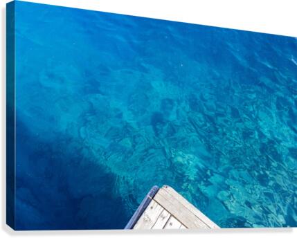Take the Dive Canvas Print