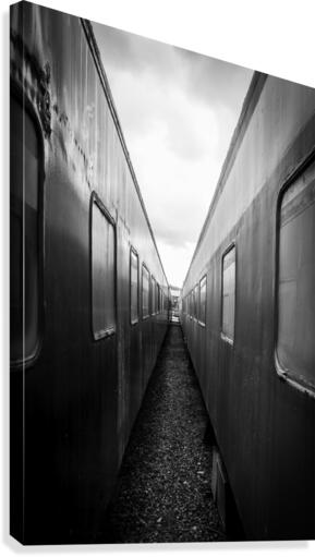 All Aboard  Canvas Print