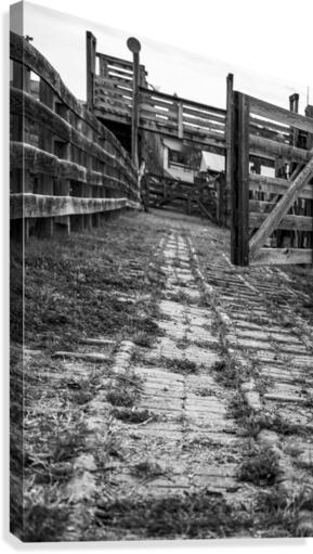 Rough Road Canvas Print