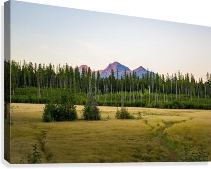 Red Glacier Canvas Print