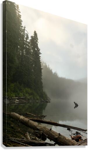Misty Mountain Canvas Print
