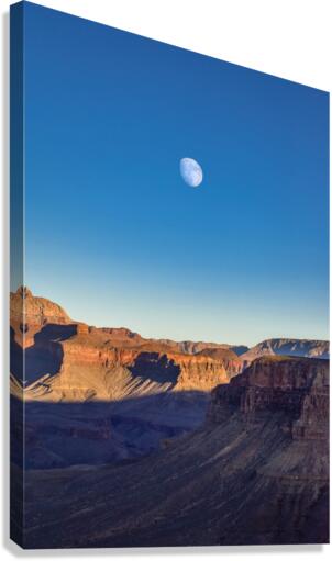 Desert Moon Canvas Print