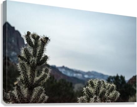 Keep Cool Canvas Print