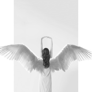 QAG 0004 – Angel Stretch Black and White