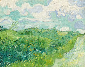 QCL 1198 – Green Wheat Fields Auvers Vincent va